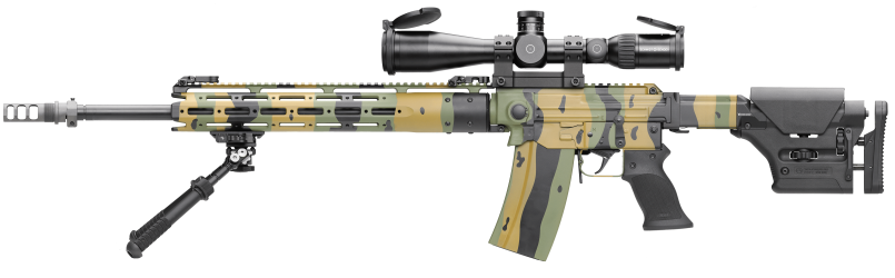 SIG Stgw 57 "Custom DMR Recon"_2