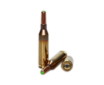 Lapua Kugelpatrone .243Win, Naturalis 90gr N509_3