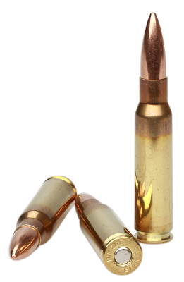 Lapua Kugelpatrone .308Win, FMJBT 185gr D46_3