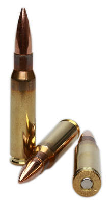 Lapua Cartridge .308Win, FMJBT 170gr D476_4