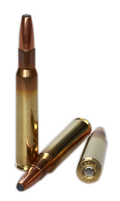 Lapua Cartridge .30-06Spr, Mega SP 185gr E415_3