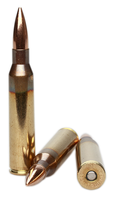 Lapua Cartridge .338Lapua Mag, FMJBT 250gr B408_2