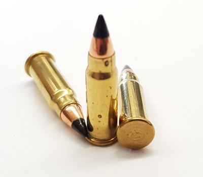 CCI KK cartridge .17Mach2, V-Max 17gr_3