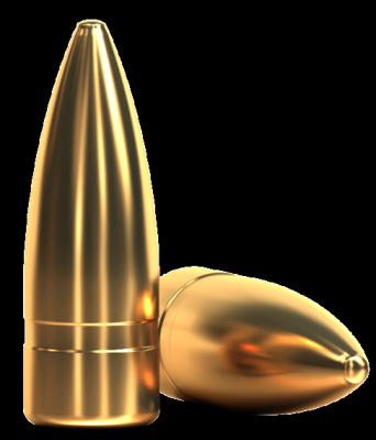 Sellier&Bellot Kugelpatrone 7.62x39 FMJ 123gr/8g_2