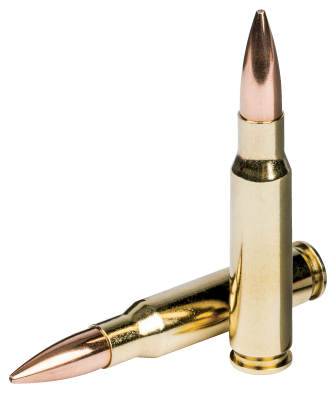 Federal cartridge .308Win., 168gr, Gold Medal_2