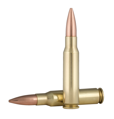 Federal cartridge .308Win., 175gr, Gold Medal_2