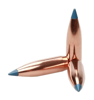 Nosler Projectile 8mm,BallisticTip 180gr (50Pcs.)_3