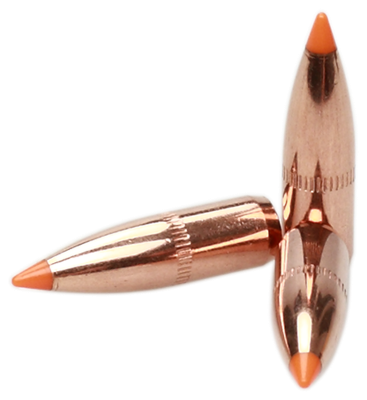 Nosler Projectile .22, BallisticTip 60gr (100Pcs.)_4