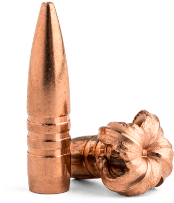 Barnes Projectile .270, TSX BT 130gr (50Stk.)_3