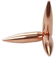 Lapua bullet 7.62mm, Lock Base FMJBT 170gr B476