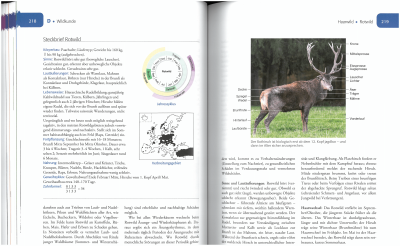 Krebs; Vor und nach der Jägerprüfung, BLV Verlag_3