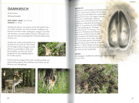 Tierspuren lebensgross, Kosmos Verlag