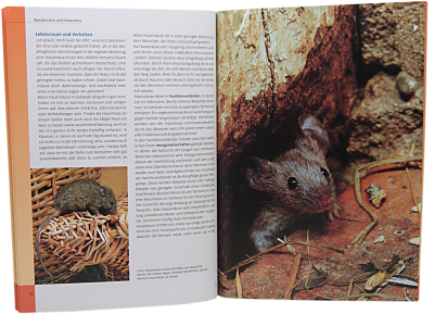 Ungebetene Besucher im Haus, Ulmer Verlag_1