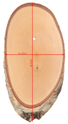 ABL Trophäenschild 12x18-20cm Birke für Rehbock_3