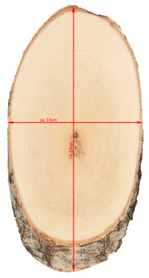 ABL Trophäenschild 13x18-23cm Birke für Rehbock_3