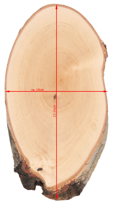 ABL Trophäenschild 14x22-24cm Birke für Rehbock_3