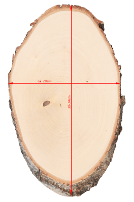 ABL Trophäenschild 20x30-34cm Birke für Hirsch_3