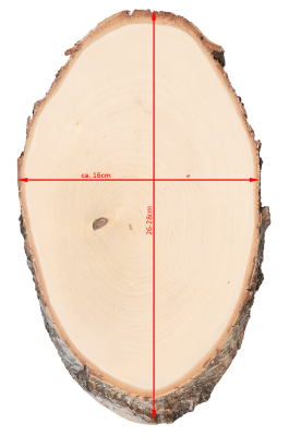 ABL Trophäenschild 16x26-28cm Birke für Hirsch_3