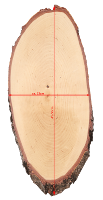 ABL Trophäenschild 23x45-50cm Birke für Hirsch_3