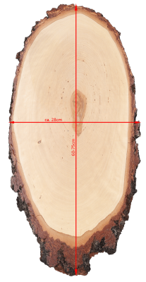 ABL Trophäenschild 28x60-75cm Birke für Hirsch_3